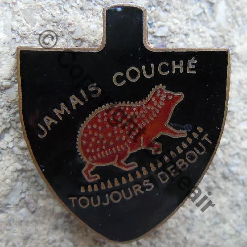 CSC  377eCIE SAPEURS CANTONNIERS A.AUGIS ST.BATH LYON 3Lign Bol fenetre allonge alu Dos grenu cuivre Src.lapetitebrocdechacha 115EurInv 
